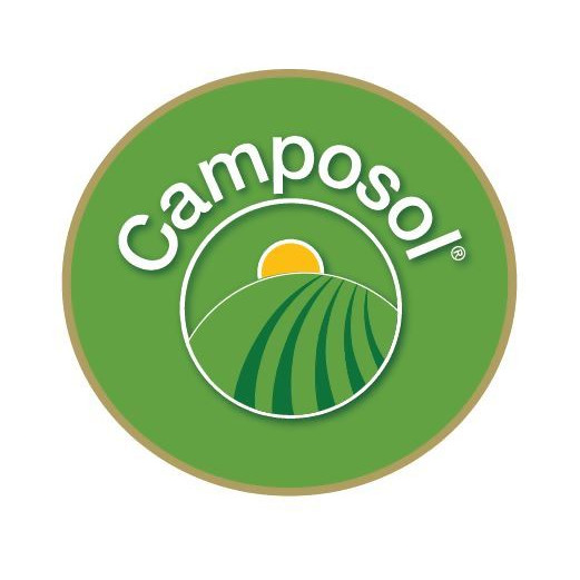 Logo 1